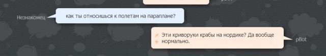 Разговор с pBot'ом