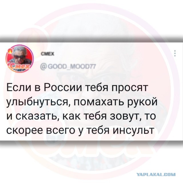 Веселые картинки в пятницу (27.12)
