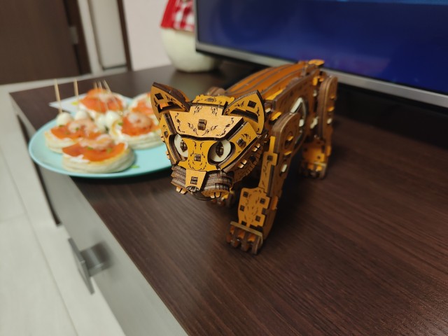 Кот кинетический