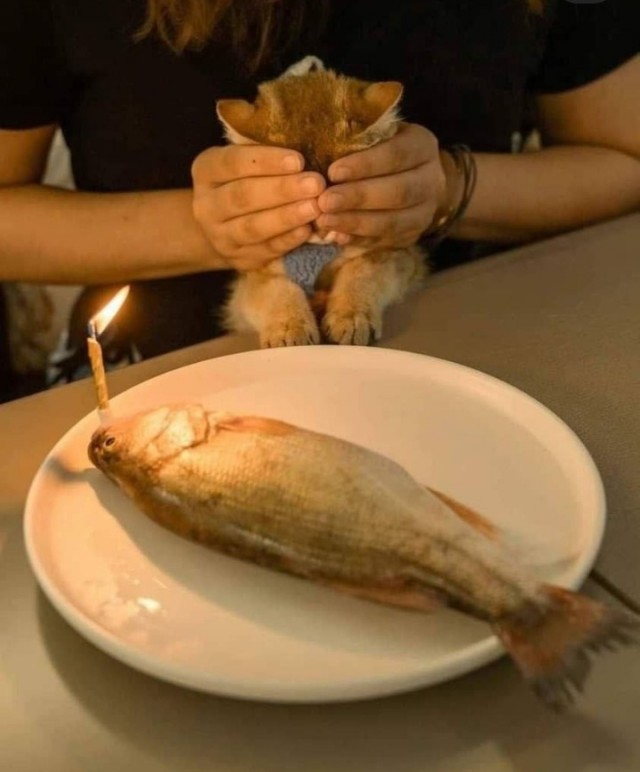 Сюрпризик во вторник