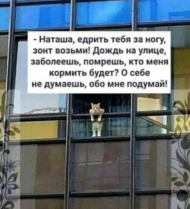Завалялось тут случайно немного забавных картинок