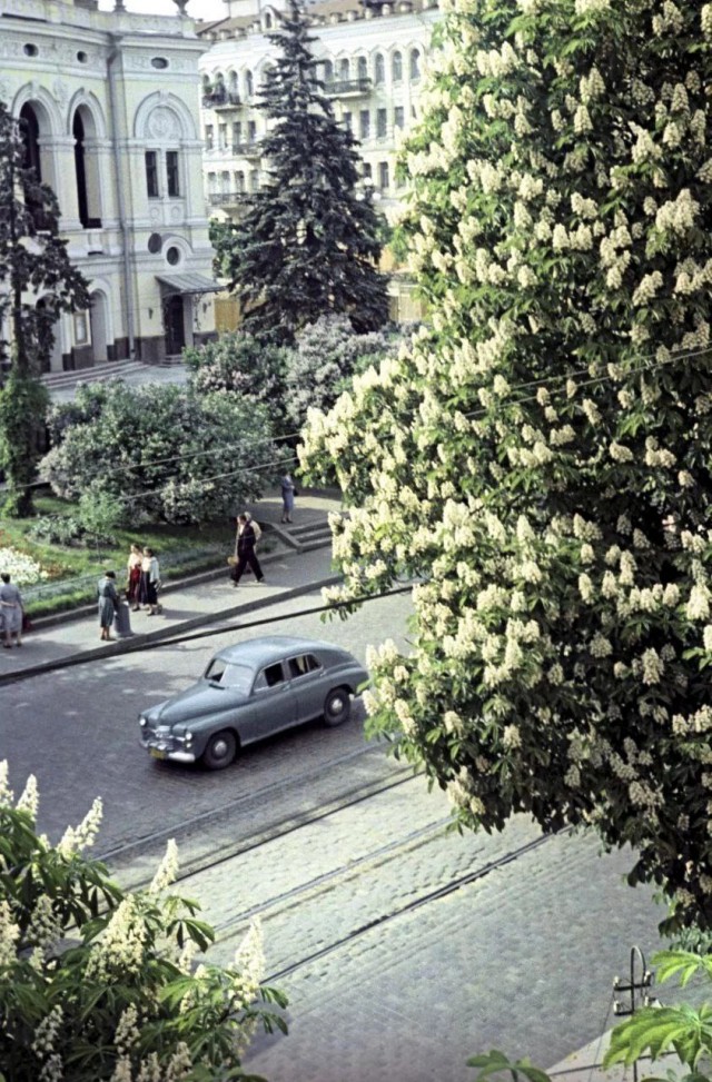 Фотографии из прошлого нашей страны – 105