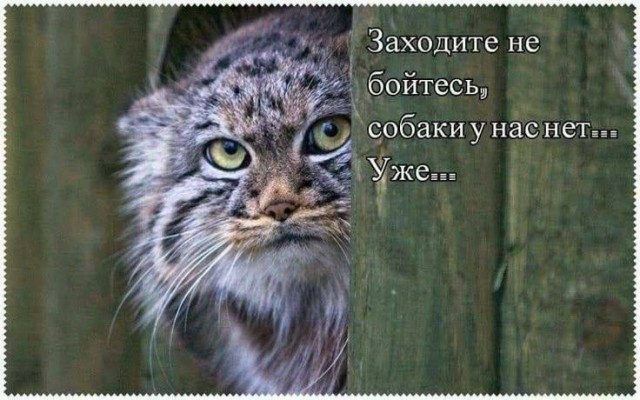 Сборник чтобы подеградировать - 14
