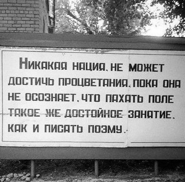 Так себе картинки 16.07.25