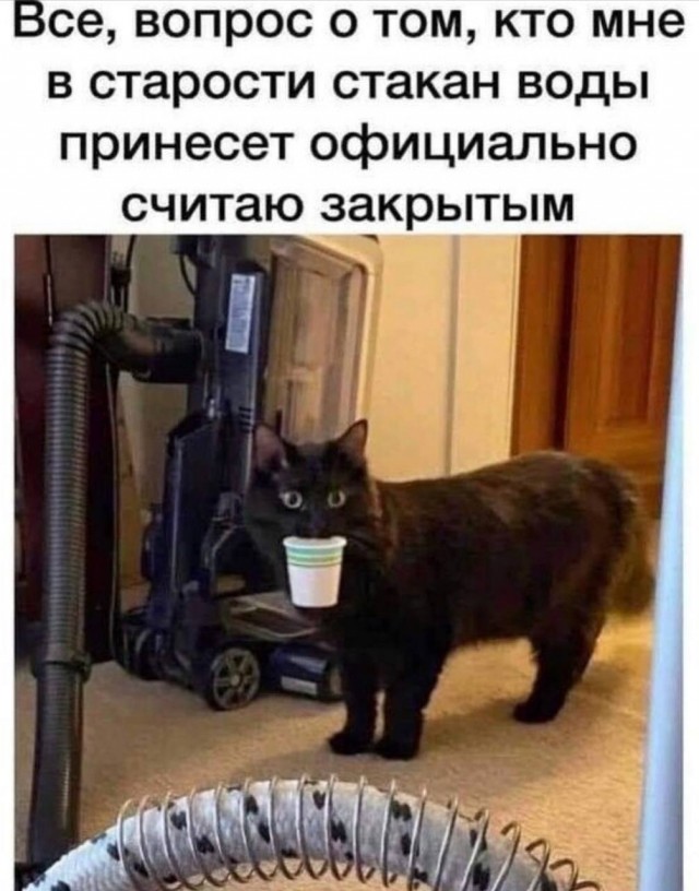 20229758.jpg