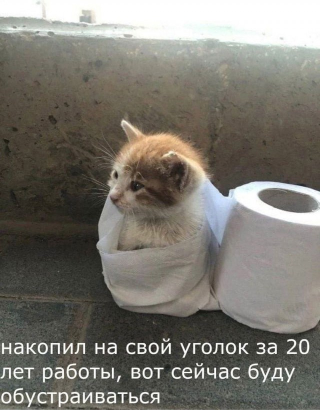 Картинок немного в среду утром