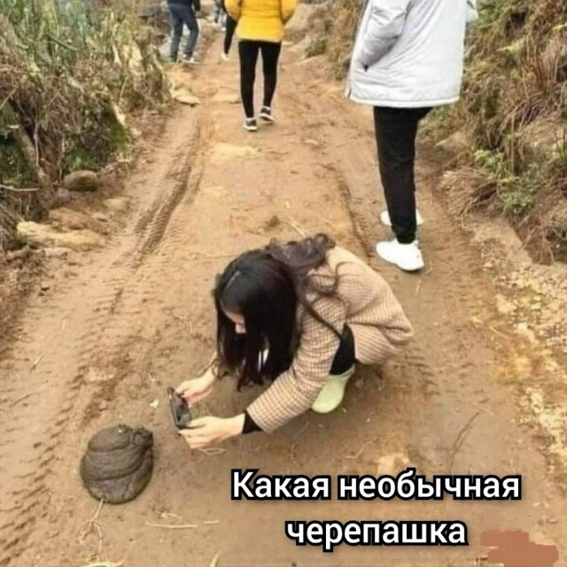 Картинки для деградации 46 (разной степени свежести)