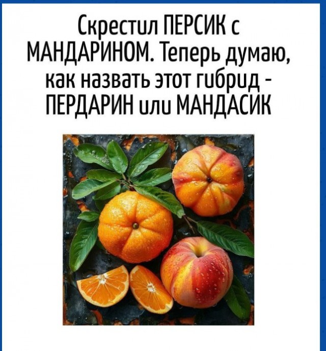 Картинки для деградации 71 (разной степени свежести)