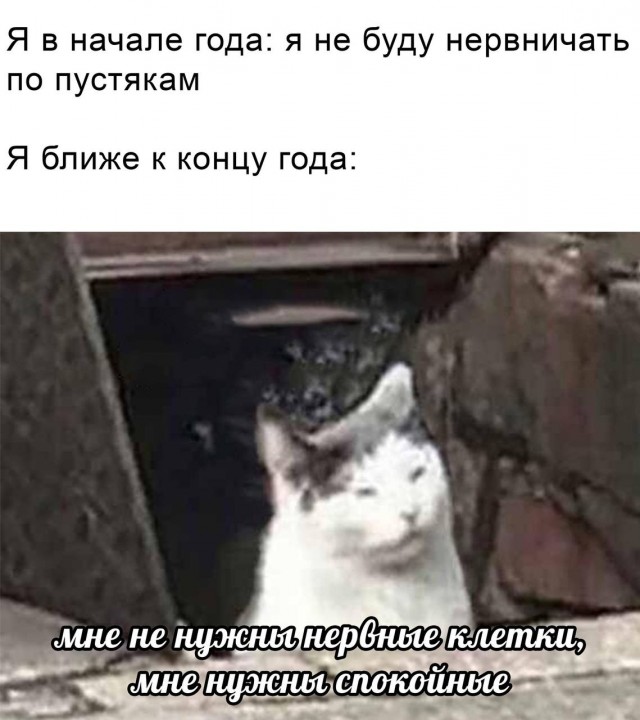 Так себе картинки 04.11.25