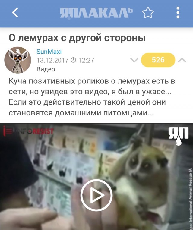 Толпа лемуров разбирает посетителей на атомы