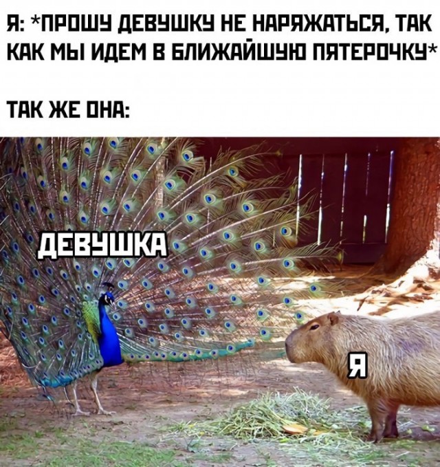 Веселые картинки в понедельник (15.12)