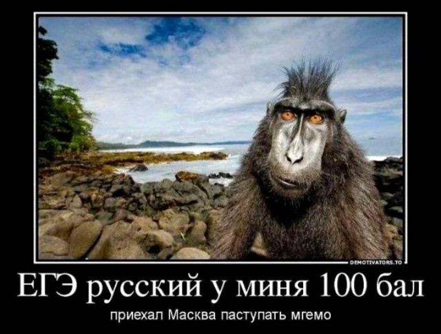 Просто слушайте что я вам говорю