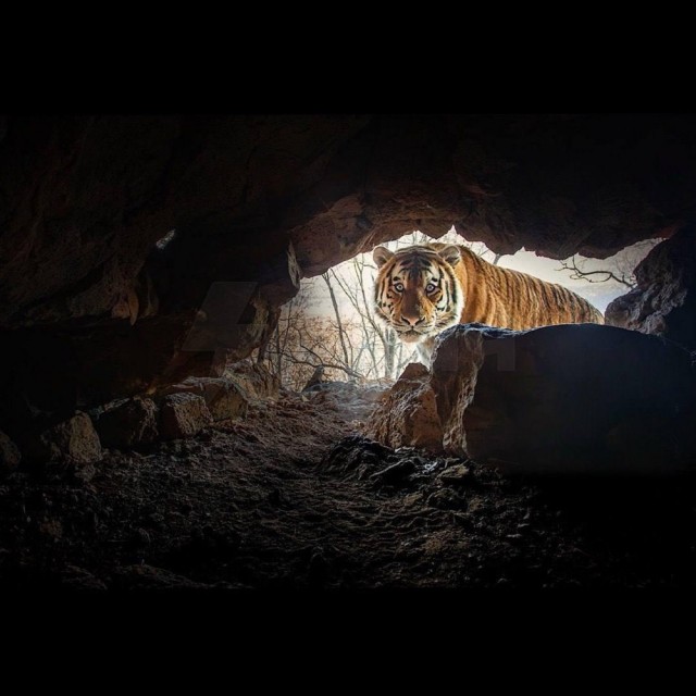 Мне только спросить