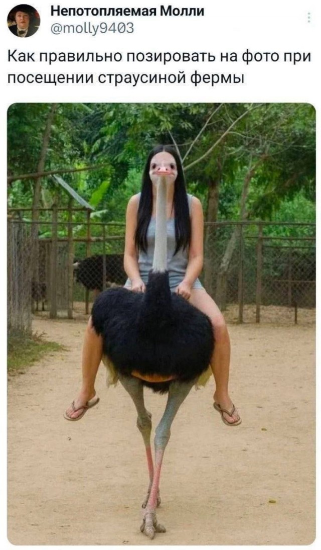 Воскресные картинки