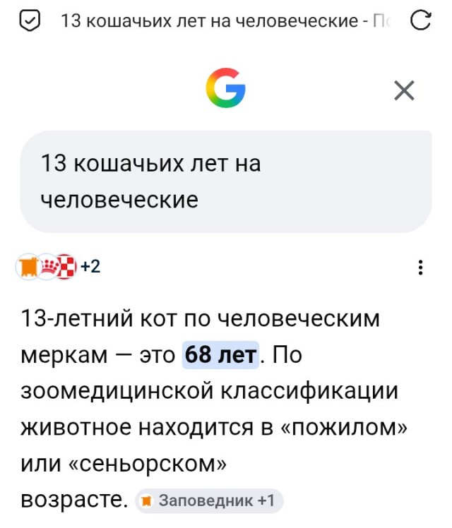 Пожилая трëхцветка и мышь