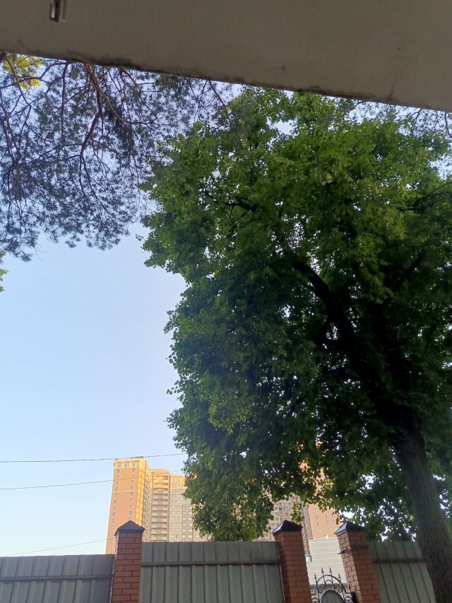 Небо. Облака.