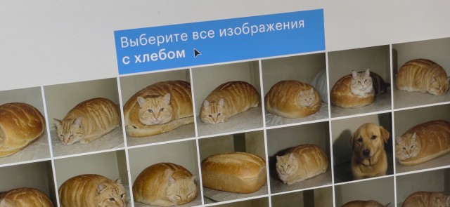 Внимание. Проверка. Человек вы или бот тырнетовский