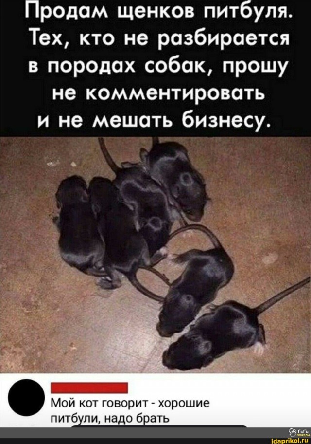 Sandero белый продаю