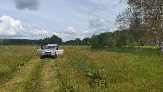 Новый Pajero выходит на рынок Японии по цене от 6 193 000 иен (около 3,2 млн рублей).
