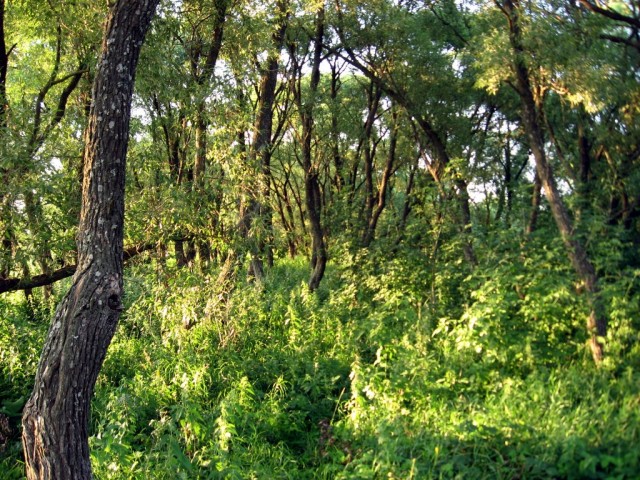 Поездка на Тамбовщину