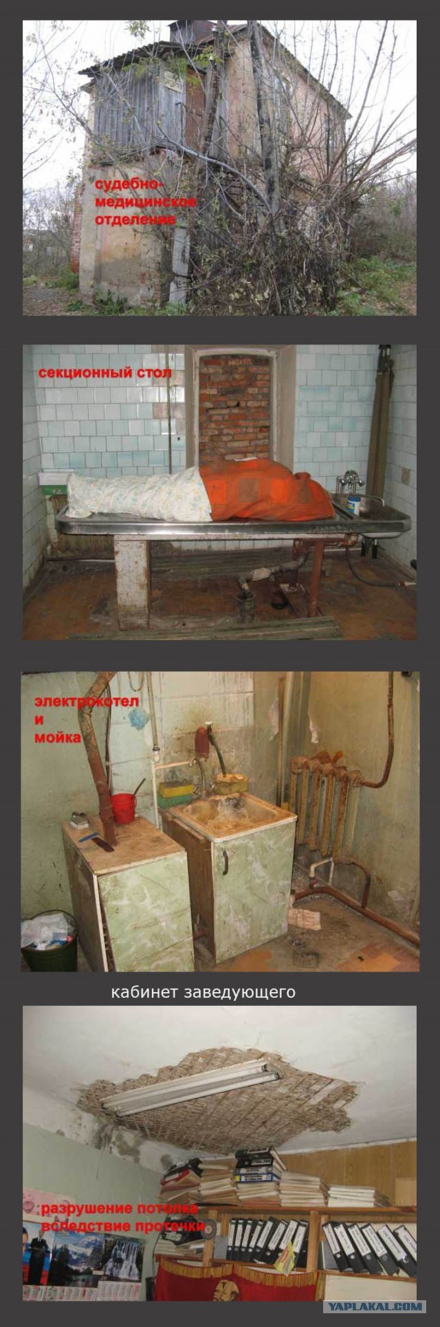 А какая у вас работа?
