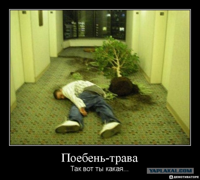 Реально интересно - ЧТО тут произошло?