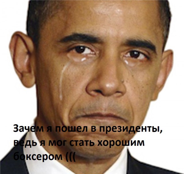 5-ти летний боксёр