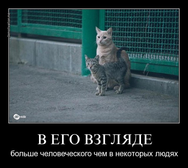 Повесть о настоящем Человеке