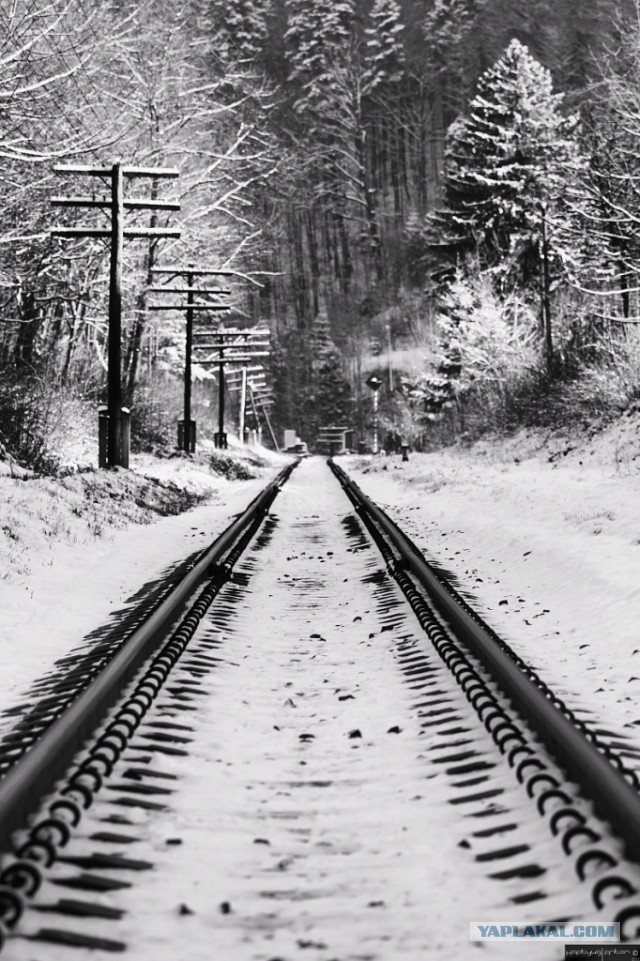 15 любительских фотографий
