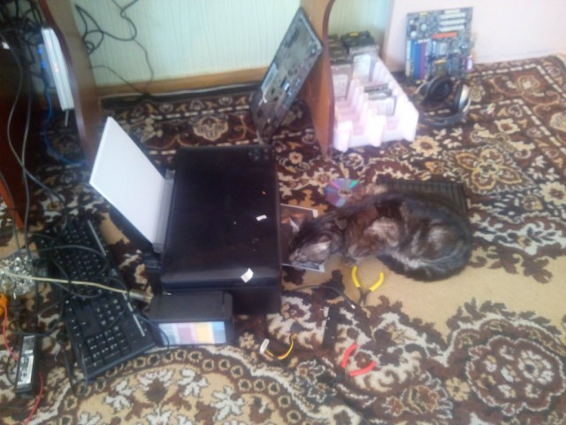 Котовторник 23.09.2014.