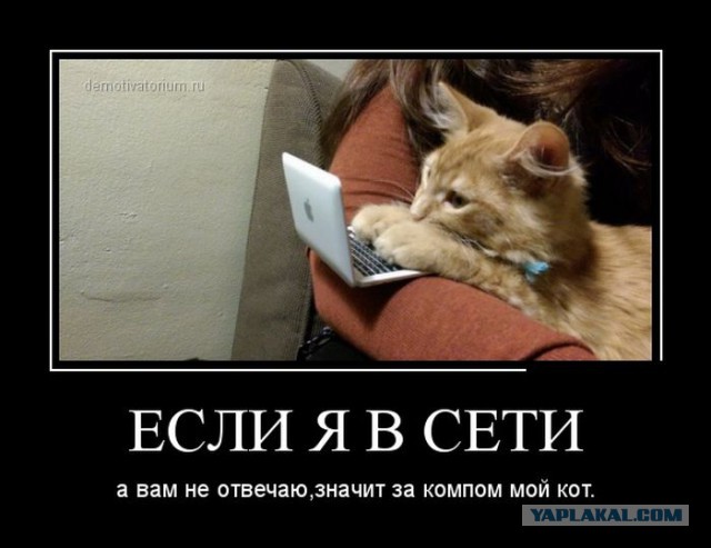 Демотиваторы вторника