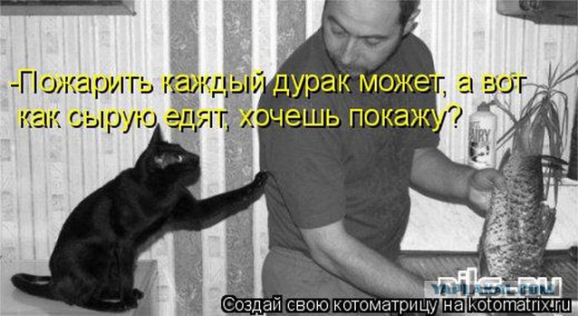 Дай, думаю, кота колбасой угощу