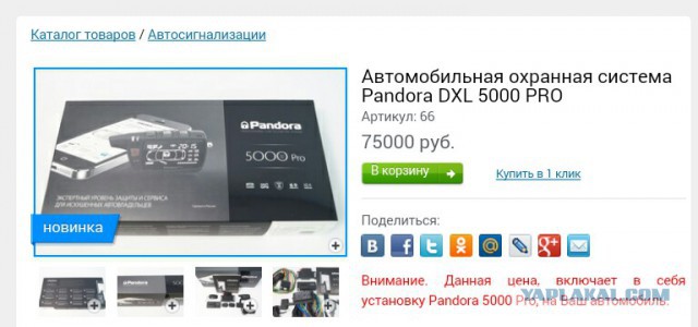 Они  еб***тые?