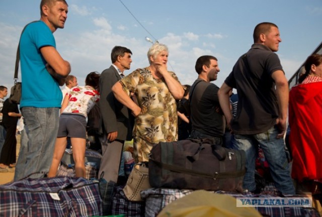 Сколько жителей осталось в Украине?