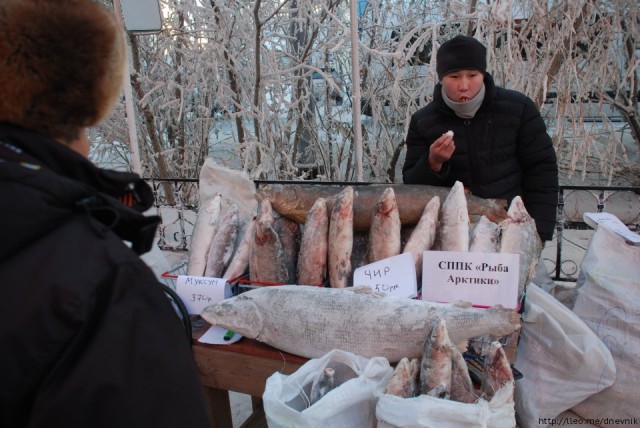 Якутия: про рыбу