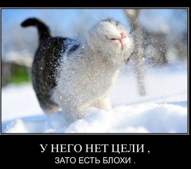 Картинки разные с интернету