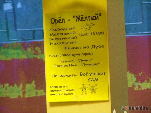 ОБЪЯВЛЕНИЯ. На стенах, в газетах, афиши.
