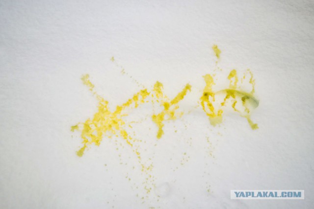 Горка в Тюмени