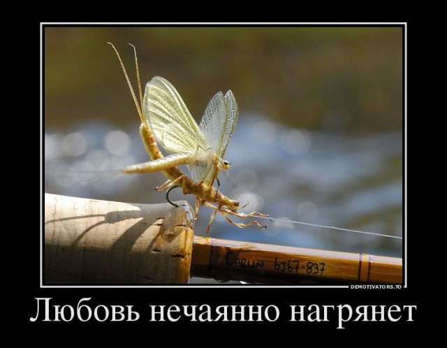 Подборка картинок