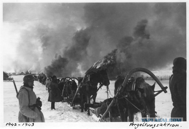 Про "зверства" советских освободителей в Европе….