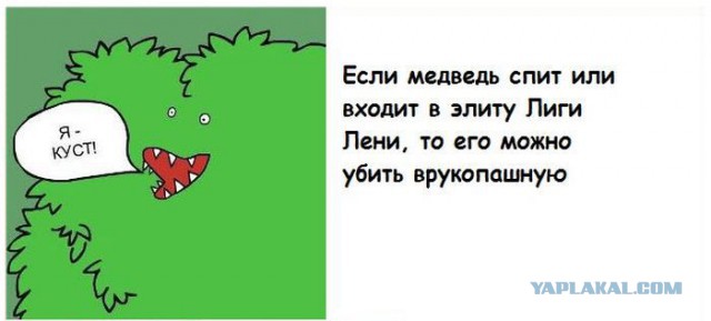 Абсолютно бесполезные факты о мире