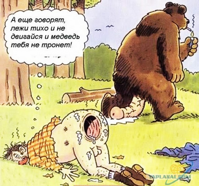 Ali Express шутит, но доставляет.