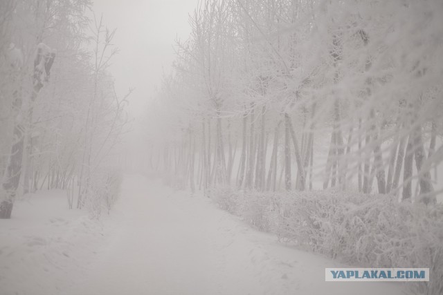 Сургут в -50 в картинках.