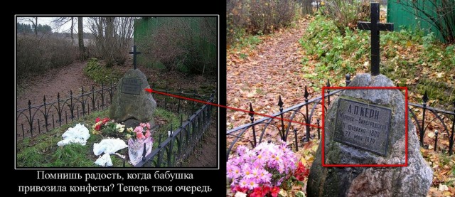 Фотографии которые пробирают до слез