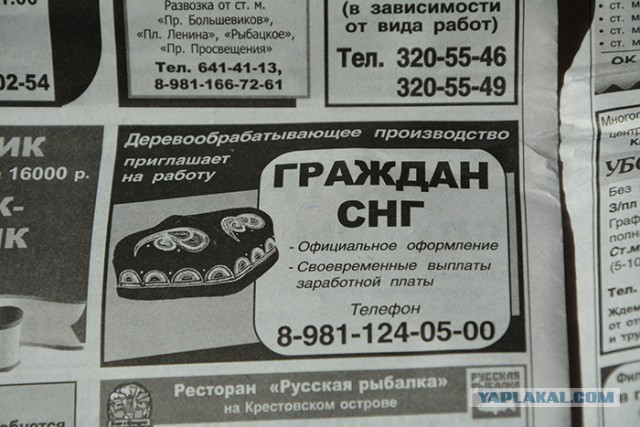 Питерские и околопитерские картинки