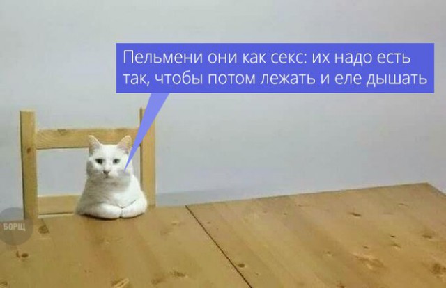 Подборка интересных и веселых картинок
