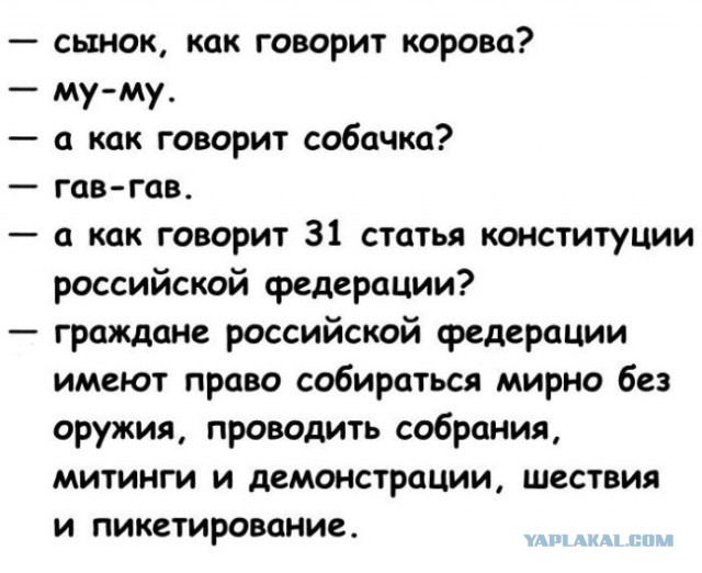 Смешные комментарии из социальных сетей 10.11.2017
