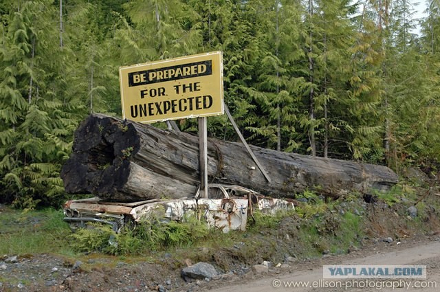 Будьте готовы к... "неожиданностям" )))