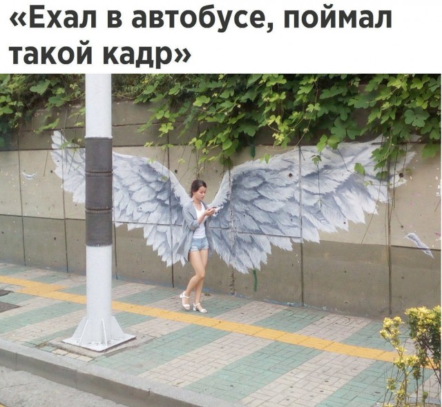 Чудики из социальных сетей