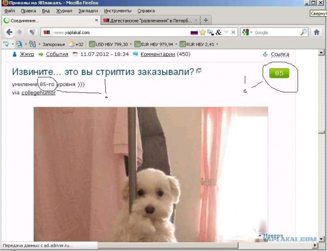 Извините... это вы стриптиз заказывали?